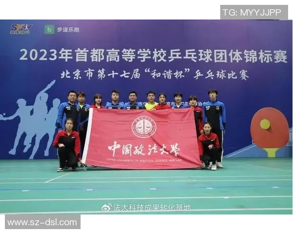 南京乒乓球队配合策略分析与实践探讨提升团队竞技水平的关键因素