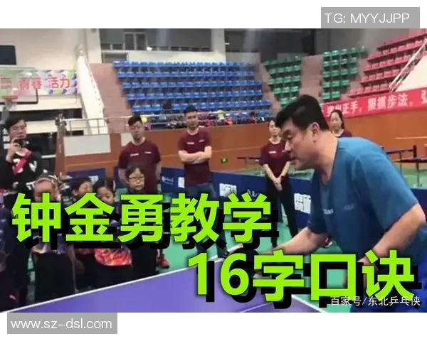 深圳乒乓球队节奏对比深度解析与发展趋势探讨 深圳乒乓球队节奏对比深度解析与发展趋势探讨