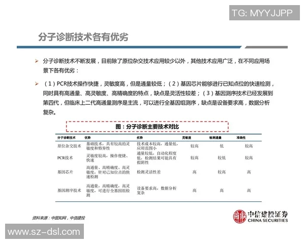 杭州足球队灵活性分析：战术创新与球员适应能力的深度探讨
