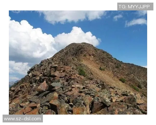 王静亲述攀岩技巧与心得体会助你轻松征服高峰 王静亲述攀岩技巧与心得体会助你轻松征服高峰