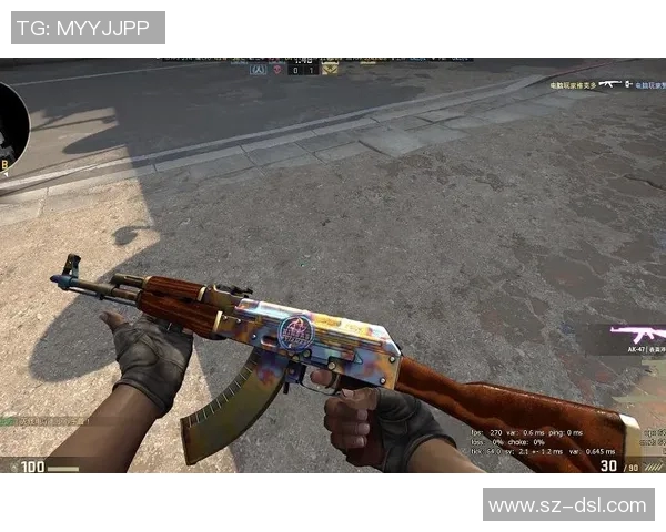 黄磊亲自揭秘CSGO游戏技巧与心得分享全攻略