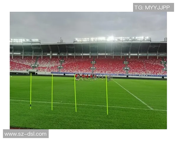 广州网球队战术争议引发热议球迷与专家各执己见探讨未来发展方向