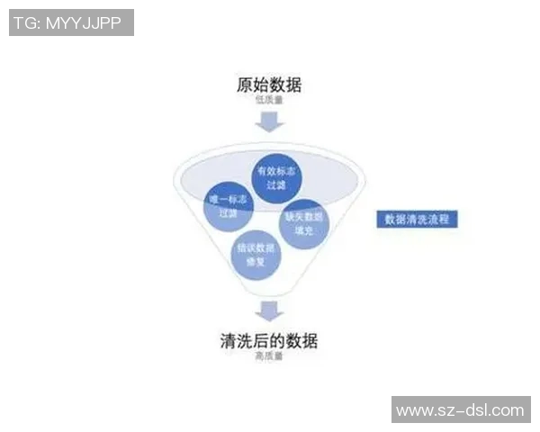 深入探讨北京排球队的实力表现与数据分析背后的故事