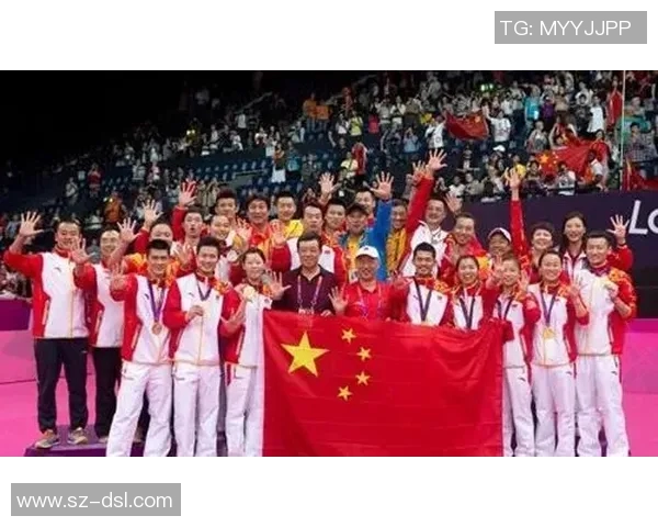 西安羽毛球队勇闯世界杯舞台展现逆袭精神与团队风采