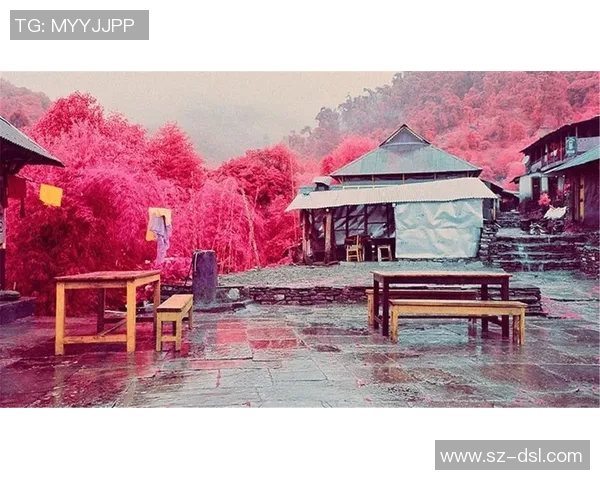 布莱克尼的神秘旅程探索未知与发现的奇妙世界