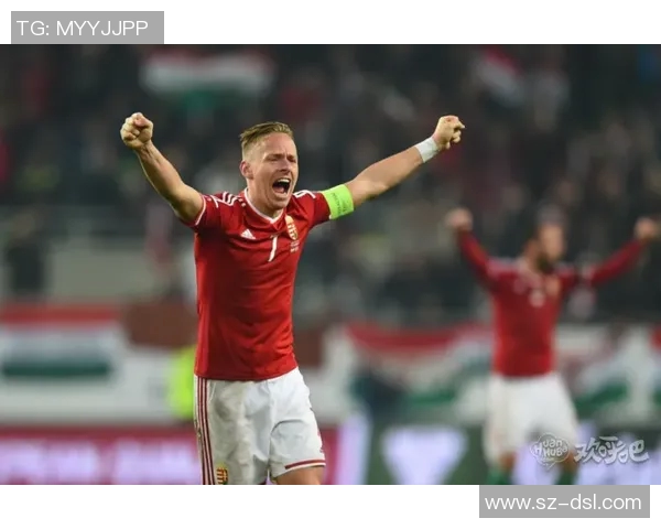 芬兰与匈牙利足球对决数据分析及战术解析全面解读