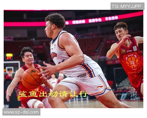 2017年上海大鲨鱼与火箭队激战回顾精彩瞬间与赛场亮点分析