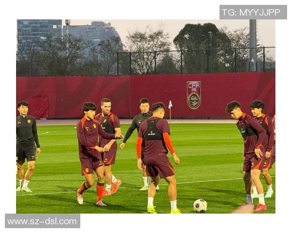 中国国足与荷兰队的比赛前瞻及胜负预测分析