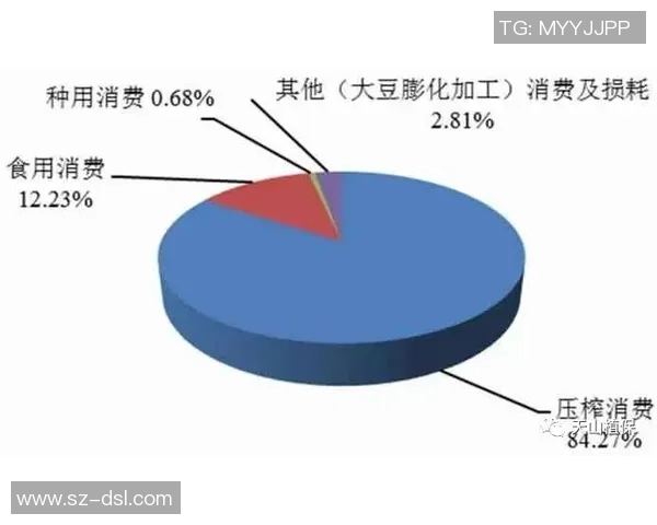 布星与比尔森的历史交锋与发展演变全景分析