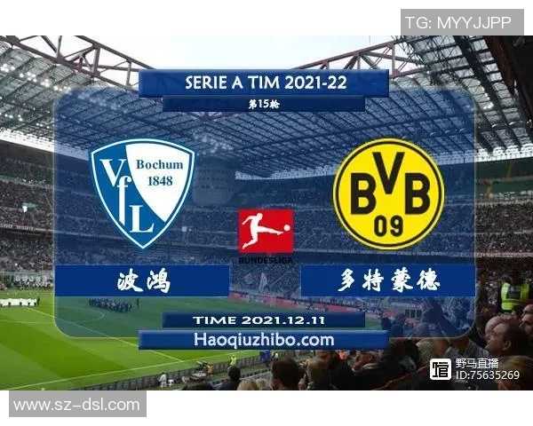 波鸿对阵汉堡精彩直播全程回顾与赛后分析尽在这里