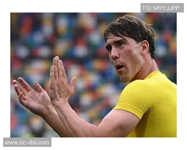 弗拉霍维奇：从天才前锋到意甲新星的成长之路与未来展望