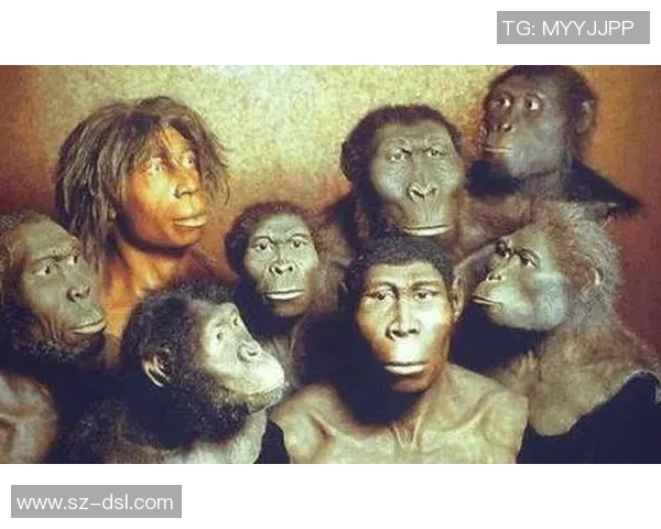 巴西猿人与松恩视频的精彩对决揭示人类进化的奥秘与争议