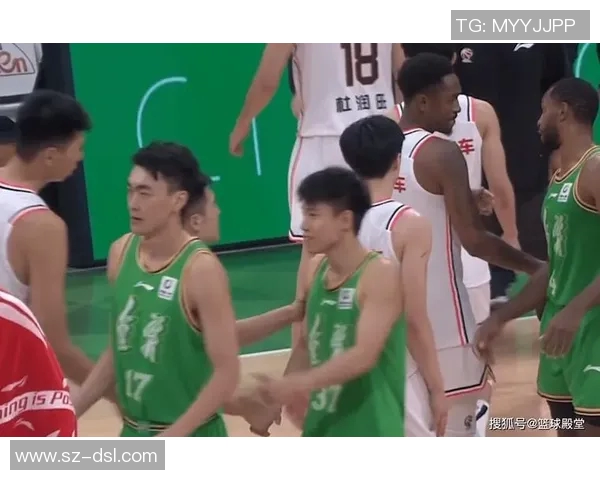 广东对阵辽宁马尚精彩回放全程回顾与分析让我们重温经典瞬间