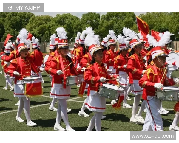 深入探讨上海飞盘队的配合表现与数据分析成果