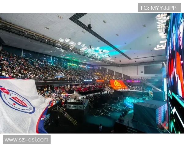 对话王娜：回顾她在英雄联盟中的奋斗与成就之路