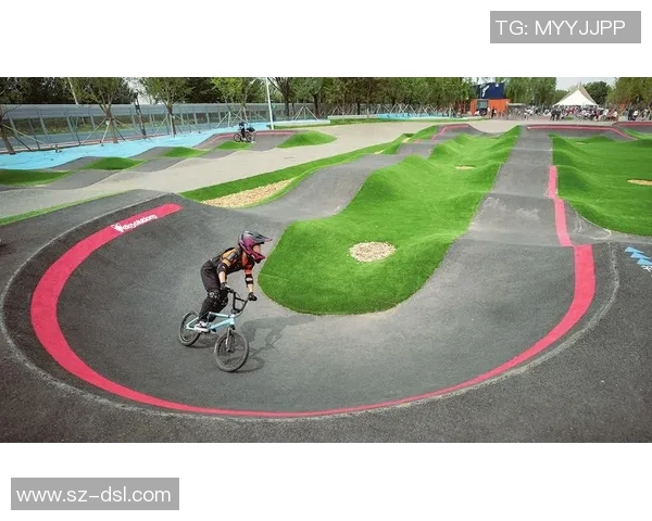 极限运动的魅力与挑战：深入解析上海极限运动队的战术与训练秘诀